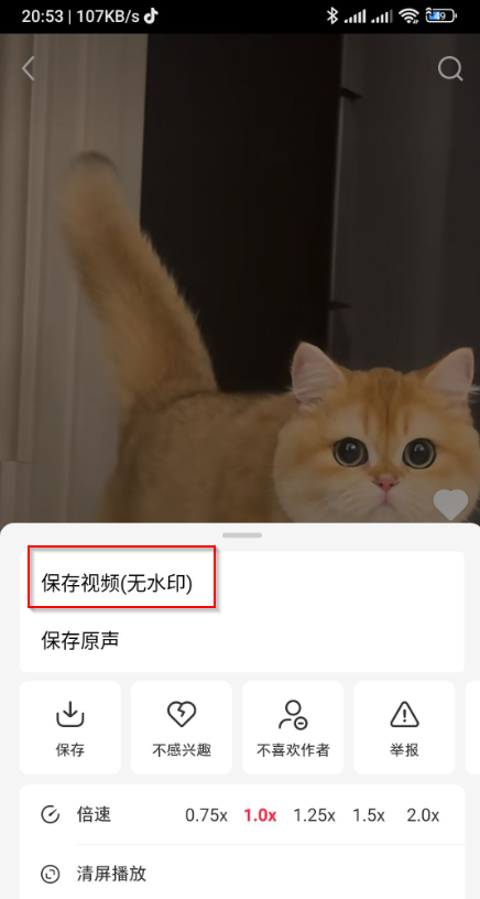 20251224205623202512250002489979png