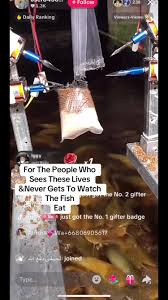 images2025122706261026800jpg